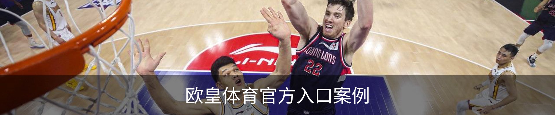 欧皇体育官方入口案例